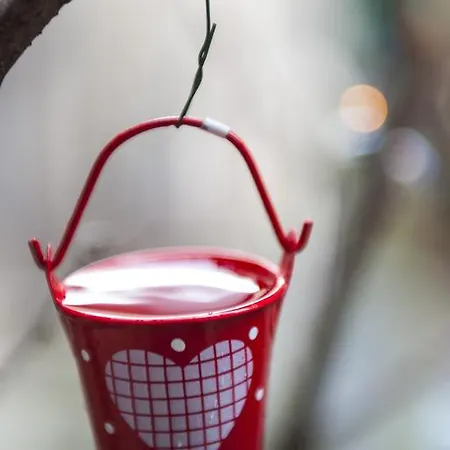 La Casa Dei Nonni 3*