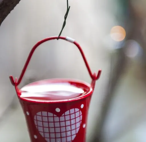 La Casa Dei Nonni 3*